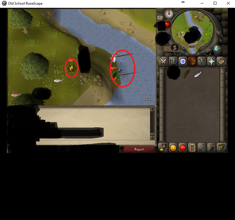 RS.png