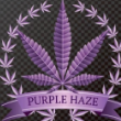 PurpleHaze