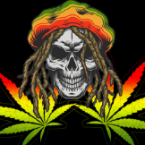 KannabisKing