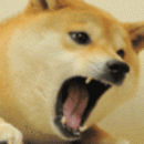 Dogebotter